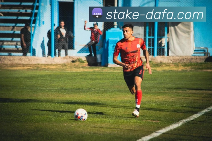 大发官网平台生态图